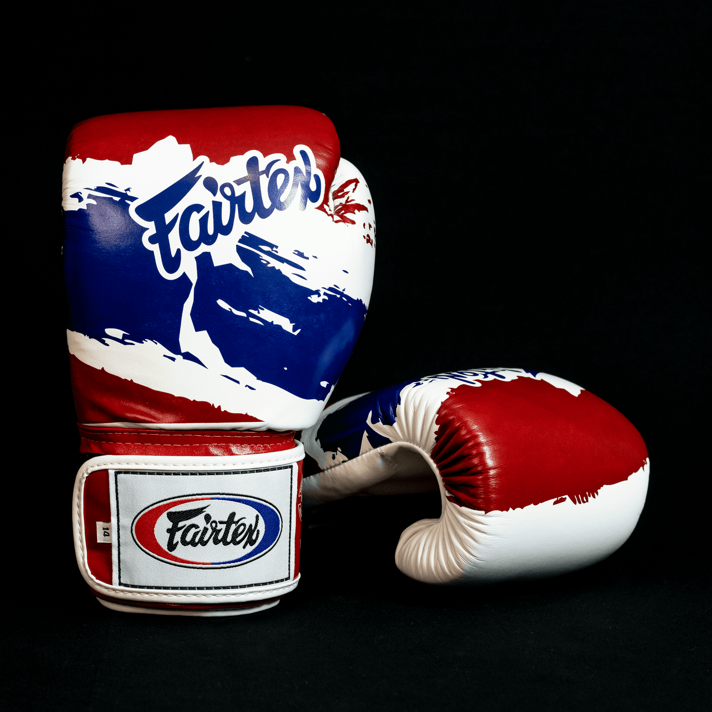 Gants d'entraînement FAIRTEX cuir top THAI PRIDE