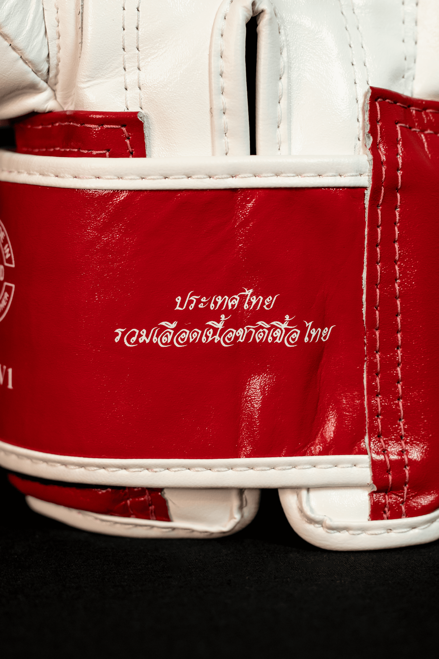 Gants d'entraînement FAIRTEX cuir top THAI PRIDE